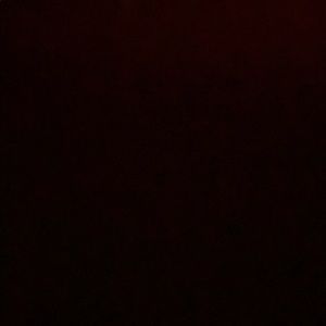 Meet your Posher, Randi